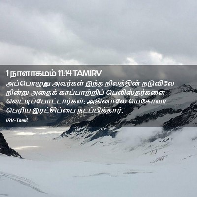 Picture 02 - 1 நாளாகமம் 11:14 TAMIRV - அப்பொழுது அவர்கள் - Bible Verse Picture
