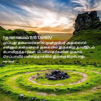 Picture 02 - 1 நாளாகமம் 11:15 TAMIRV - முப்பது - Bible Verse Picture