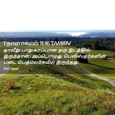 Picture 02 - 1 நாளாகமம் 11:16 TAMIRV - தாவீது - Bible Verse Picture