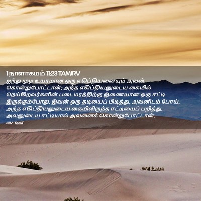 Picture 02 - 1 நாளாகமம் 11:23 TAMIRV - ஐந்து முழ உயரமான - Bible Verse Picture