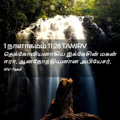 Picture 02 - 1 நாளாகமம் 11:28 TAMIRV - தெக்கோவியனாகிய - Bible Verse Picture
