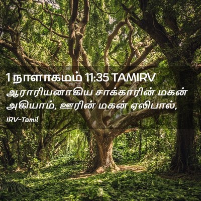 Picture 02 - 1 நாளாகமம் 11:35 TAMIRV - ஆராரியனாகிய - Bible Verse Picture