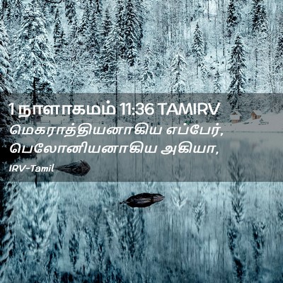 Picture 02 - 1 நாளாகமம் 11:36 TAMIRV - மெகராத்தியனாகிய - Bible Verse Picture