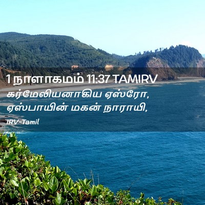 Picture 02 - 1 நாளாகமம் 11:37 TAMIRV - கர்மேலியனாகிய - Bible Verse Picture