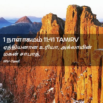 Picture 02 - 1 நாளாகமம் 11:41 TAMIRV - ஏத்தியனான உரியா, - Bible Verse Picture