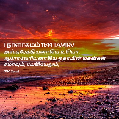 Picture 02 - 1 நாளாகமம் 11:44 TAMIRV - அஸ்தரேத்தியனாகிய - Bible Verse Picture