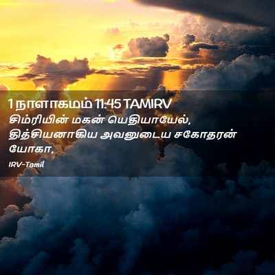 Picture 02 - 1 நாளாகமம் 11:45 TAMIRV - சிம்ரியின் மகன் - Bible Verse Picture