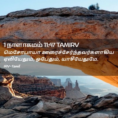 Picture 02 - 1 நாளாகமம் 11:47 TAMIRV - மெசோபாயா - Bible Verse Picture