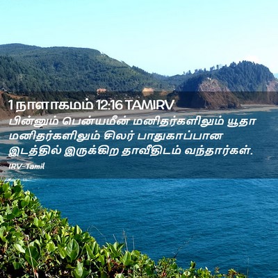 Picture 02 - 1 நாளாகமம் 12:16 TAMIRV - பின்னும் - Bible Verse Picture