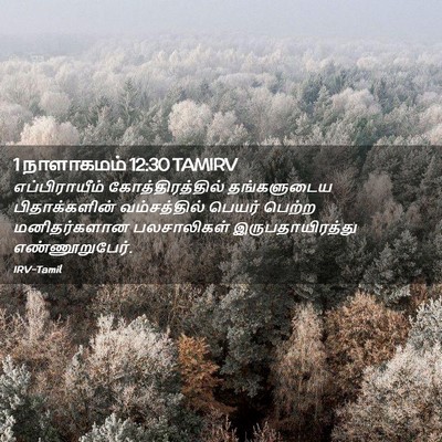 Picture 02 - 1 நாளாகமம் 12:30 TAMIRV - எப்பிராயீம் - Bible Verse Picture