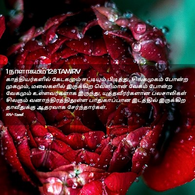 Picture 02 - 1 நாளாகமம் 12:8 TAMIRV - காத்தியர்களில் - Bible Verse Picture