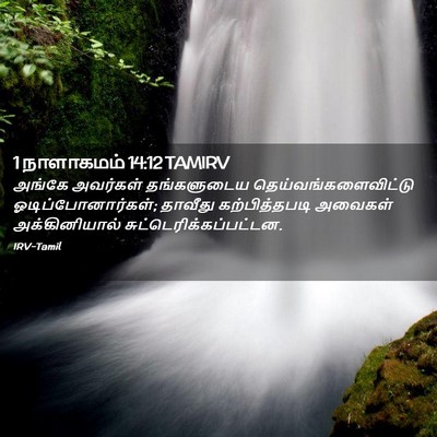 Picture 02 - 1 நாளாகமம் 14:12 TAMIRV - அங்கே அவர்கள் - Bible Verse Picture