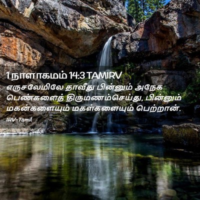 Picture 02 - 1 நாளாகமம் 14:3 TAMIRV - எருசலேமிலே தாவீது - Bible Verse Picture