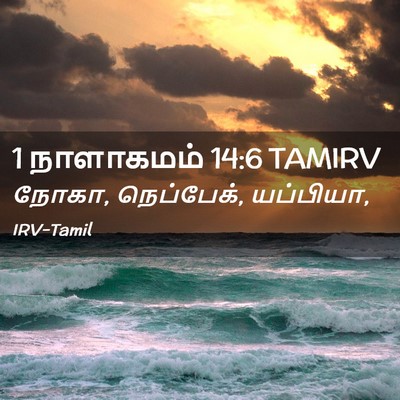 Picture 02 - 1 நாளாகமம் 14:6 TAMIRV - நோகா, நெப்பேக், - Bible Verse Picture