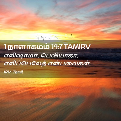 Picture 02 - 1 நாளாகமம் 14:7 TAMIRV - எலிஷாமா, பெலியாதா, - Bible Verse Picture