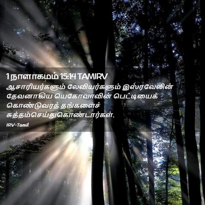 Picture 02 - 1 நாளாகமம் 15:14 TAMIRV - ஆசாரியர்களும் - Bible Verse Picture