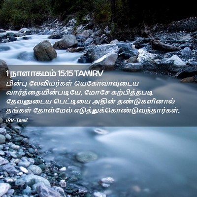 Picture 02 - 1 நாளாகமம் 15:15 TAMIRV - பின்பு லேவியர்கள் - Bible Verse Picture