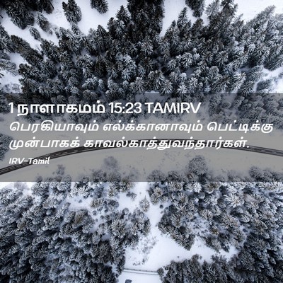 Picture 02 - 1 நாளாகமம் 15:23 TAMIRV - பெரகியாவும் - Bible Verse Picture