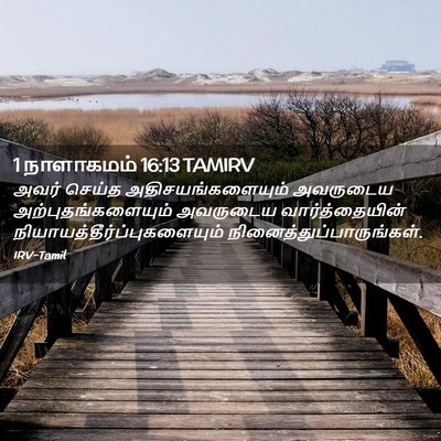 Picture 02 - 1 நாளாகமம் 16:13 TAMIRV - அவர் செய்த - Bible Verse Picture