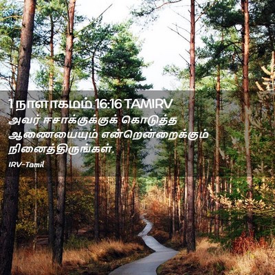 Picture 02 - 1 நாளாகமம் 16:16 TAMIRV - அவர் - Bible Verse Picture