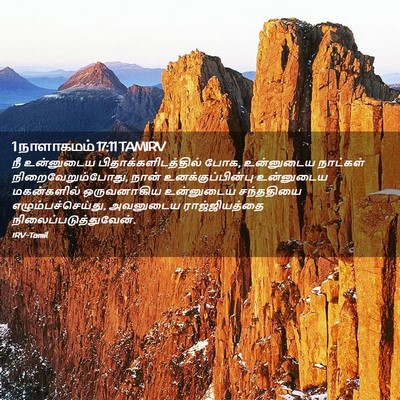 Picture 02 - 1 நாளாகமம் 17:11 TAMIRV - நீ உன்னுடைய - Bible Verse Picture