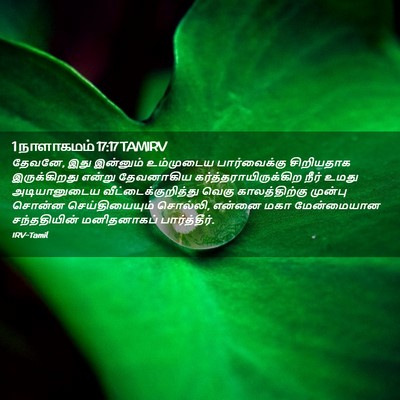 Picture 02 - 1 நாளாகமம் 17:17 TAMIRV - தேவனே, இது இன்னும் - Bible Verse Picture