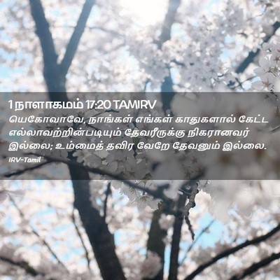 Picture 02 - 1 நாளாகமம் 17:20 TAMIRV - யெகோவாவே, நாங்கள் - Bible Verse Picture