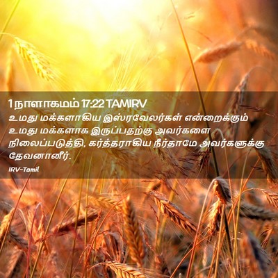 Picture 02 - 1 நாளாகமம் 17:22 TAMIRV - உமது மக்களாகிய - Bible Verse Picture