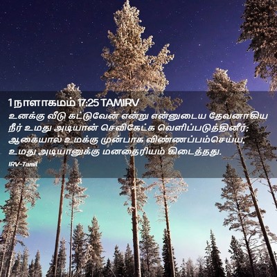 Picture 02 - 1 நாளாகமம் 17:25 TAMIRV - உனக்கு வீடு - Bible Verse Picture