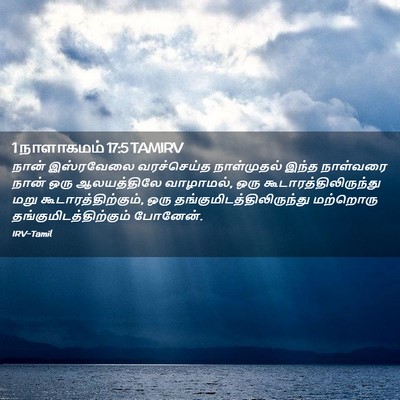 Picture 02 - 1 நாளாகமம் 17:5 TAMIRV - நான் இஸ்ரவேலை - Bible Verse Picture