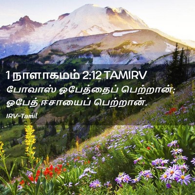 Picture 02 - 1 நாளாகமம் 2:12 TAMIRV - போவாஸ் ஓபேத்தைப் - Bible Verse Picture
