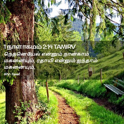 Picture 02 - 1 நாளாகமம் 2:14 TAMIRV - நெதனெயேல் என்னும் - Bible Verse Picture