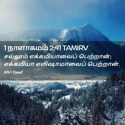 Picture 02 - 1 நாளாகமம் 2:41 TAMIRV - சல்லூம் - Bible Verse Picture