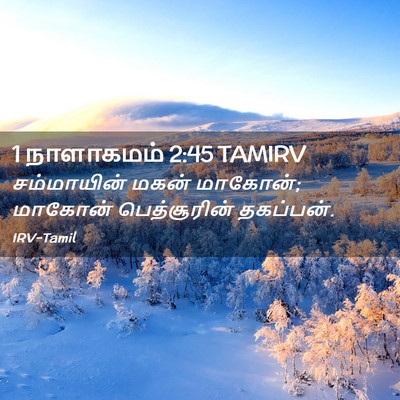 Picture 02 - 1 நாளாகமம் 2:45 TAMIRV - சம்மாயின் மகன் - Bible Verse Picture