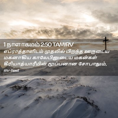 Picture 02 - 1 நாளாகமம் 2:50 TAMIRV - எப்ராத்தாளிடம் - Bible Verse Picture