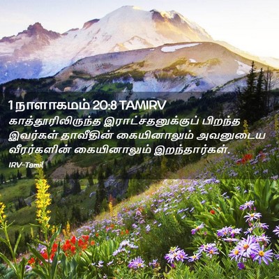 Picture 02 - 1 நாளாகமம் 20:8 TAMIRV - காத்தூரிலிருந்த - Bible Verse Picture