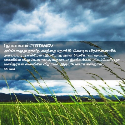 Picture 02 - 1 நாளாகமம் 21:13 TAMIRV - அப்பொழுது தாவீது - Bible Verse Picture