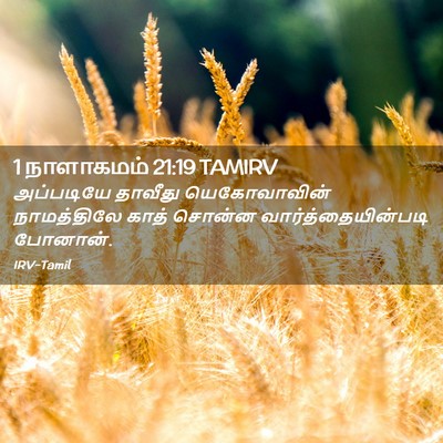 Picture 02 - 1 நாளாகமம் 21:19 TAMIRV - அப்படியே தாவீது - Bible Verse Picture