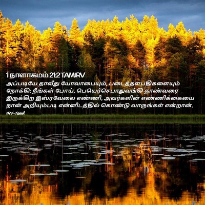 Picture 02 - 1 நாளாகமம் 21:2 TAMIRV - அப்படியே தாவீது - Bible Verse Picture