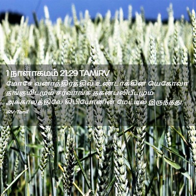 Picture 02 - 1 நாளாகமம் 21:29 TAMIRV - மோசே - Bible Verse Picture