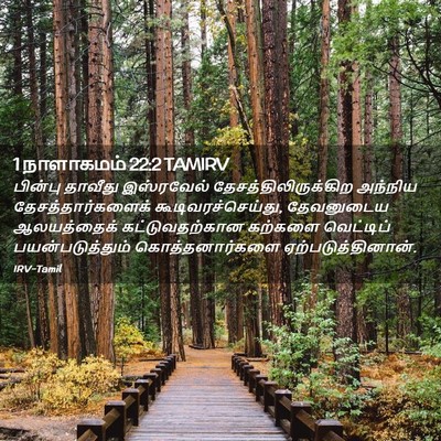 Picture 02 - 1 நாளாகமம் 22:2 TAMIRV - பின்பு தாவீது - Bible Verse Picture