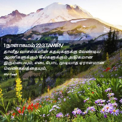 Picture 02 - 1 நாளாகமம் 22:3 TAMIRV - தாவீது வாசல்களின் - Bible Verse Picture