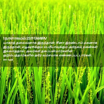 Picture 02 - 1 நாளாகமம் 23:11 TAMIRV - யாகாத் தலைவனாக - Bible Verse Picture