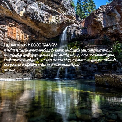 Picture 02 - 1 நாளாகமம் 23:30 TAMIRV - நாள்தோறும் - Bible Verse Picture