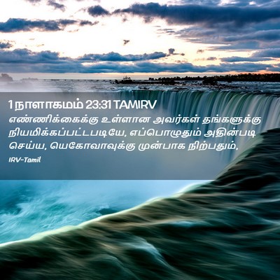 Picture 02 - 1 நாளாகமம் 23:31 TAMIRV - எண்ணிக்கைக்கு - Bible Verse Picture