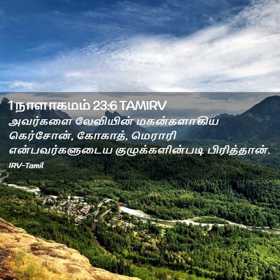 Picture 02 - 1 நாளாகமம் 23:6 TAMIRV - அவர்களை லேவியின் - Bible Verse Picture