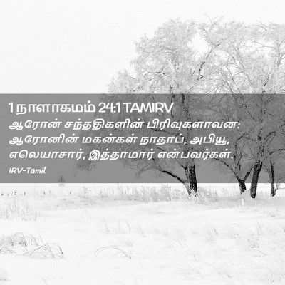 Picture 02 - 1 நாளாகமம் 24:1 TAMIRV - ஆரோன் சந்ததிகளின் - Bible Verse Picture
