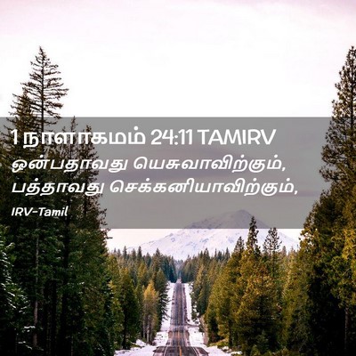 Picture 02 - 1 நாளாகமம் 24:11 TAMIRV - ஒன்பதாவது - Bible Verse Picture