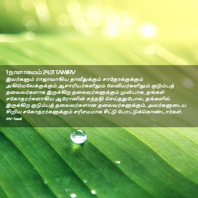 Picture 02 - 1 நாளாகமம் 24:31 TAMIRV - இவர்களும் - Bible Verse Picture
