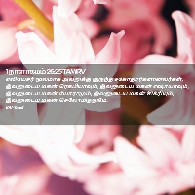 Picture 02 - 1 நாளாகமம் 26:25 TAMIRV - எலியேசர் மூலமாக - Bible Verse Picture